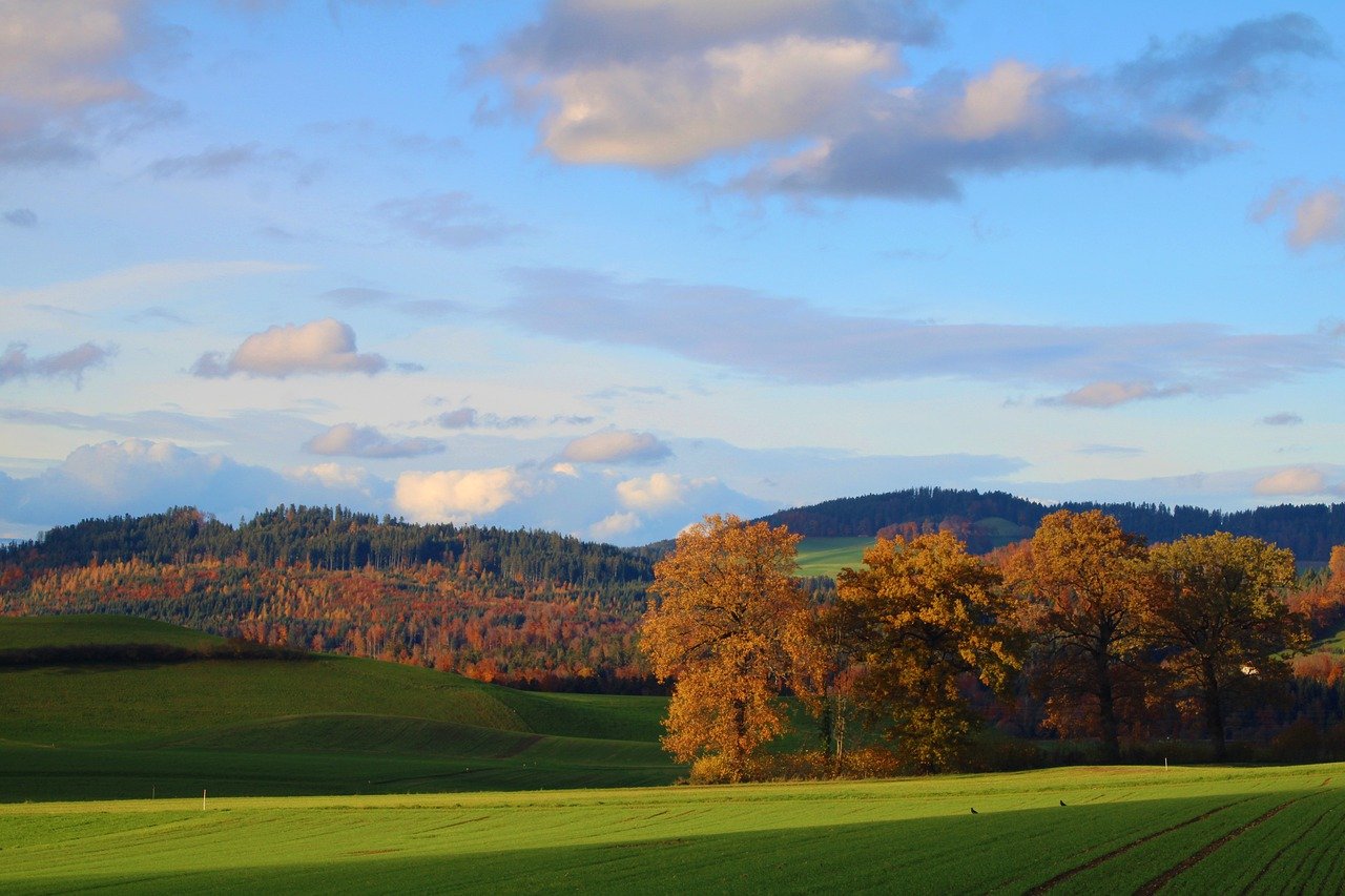 Izvori finansiranja landscape