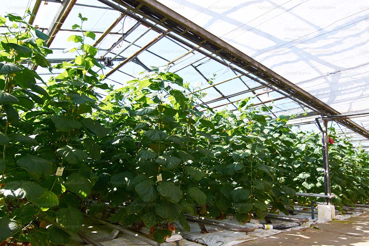 Продужен је рок за конкурсе Фонда за 2024.годину до дана 15.11.2024.године